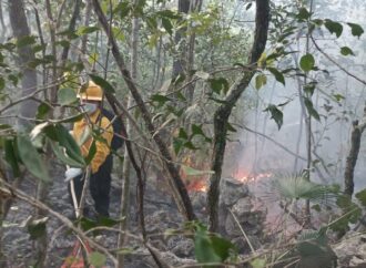 Incendio en Rancho Nuevo Bajo Control.